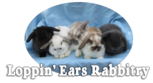 Loppin'Ears Rabbitry